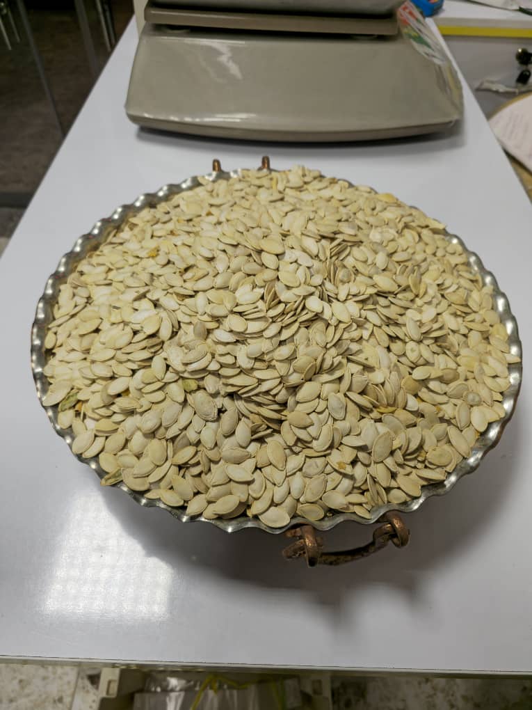 تخمه کدو خام