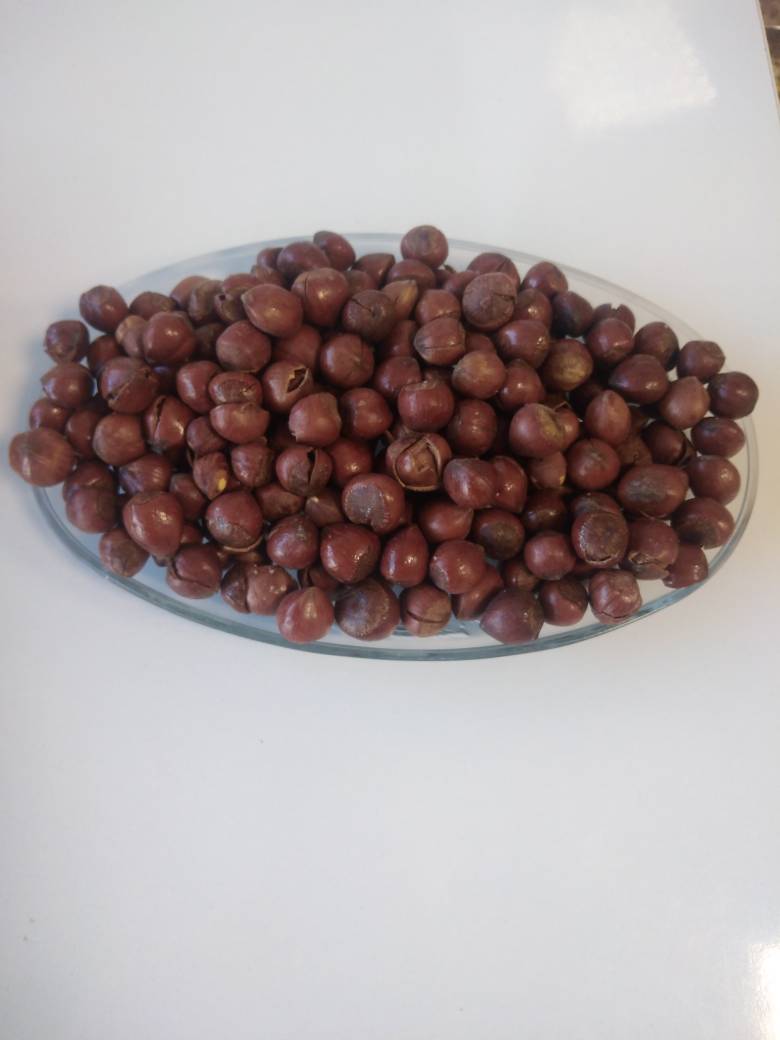 فندوق بو داده