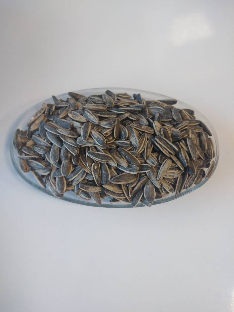 تخمه گل آفتاب خارجی خام