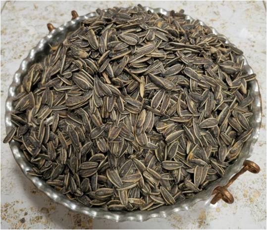 تخمه گل آفتاب ایرانی خام